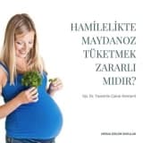 Hamilelikte Maydanoz Tüketmek Zararlı mıdır?