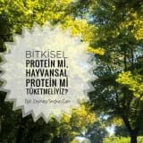 Bitkisel Protein mi, Hayvansal Protein mi?