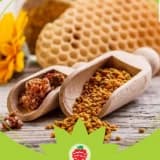 PROPOLİSİN ORAL MUKOZİT ÜZERİNE ETKİSİ