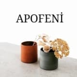 APOFENİ