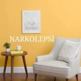 NARKOLEPSİ