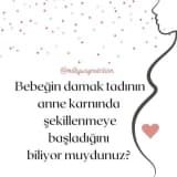 Bebeğin damak tadının anne karnında şekillenmeye başladığını biliyor muydunuz?