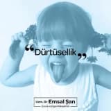 Dürtüsellik