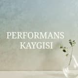 PERFORMANS KAYGISI