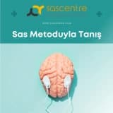 Sas Metodu ile Çalış