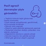 Pasif Agresif Davranış