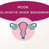 Pcos Polistik Over Sendromu