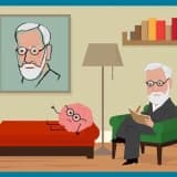 Neden Psikanalitik Ekol ile Çalışan Bir Uzman İle Çalışmalıyız ?