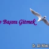Alıp başını gitmek