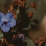 İlişkilerde Tekrarlayan Döngüler Psikolojik Olarak Ne Anlatır?