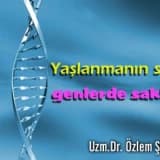 Gentest yaşlanmanın sırrı genlerde saklı !
