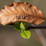 Yeme Bozukluğunda Nüks: Neden Olur, Nasıl Yönetilir?
