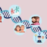 Kişilik Gelişimi Gen Çevre Etkileşimi