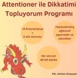 Attentioner dikkat geliştirme programı