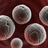 Safra Kesesi Taşı Nedir?