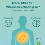 Yorgunluk, Unutkanlık, Halsizlik… Kronik Stres mi? Mitokondri Yetmezliği mi?