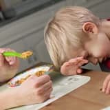 Çocuklardaki yemek seçme davranışı