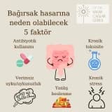 Bağırsak hasarına neden olabilecek 5 faktör