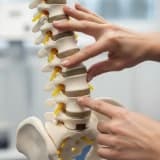 Bel Fıtığında Manuel Terapi: Bilimsel Temeller, Uygulama Yöntemleri ve İyileşme Sürecindeki Rolü