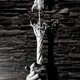 Travma Sonrası Stres Bozukluğu (TSSB)