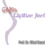 Göğüs Küçültme Ameliyatı