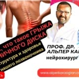 Как понять, что такое ГРЫЖА ПОЯСНИЧНОГО ДИСКА / Структура позвоночника