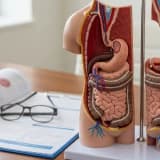 Gastrik Bypass (RYGB) ve SADI-S Arasındaki Farklar: Hangi Hasta İçin Hangisi Uygun?