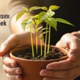 Ergenlerde Benlik Saygısını Güçlendirmek