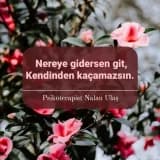 Nereye Gidersen Git Kendinden Kaçamazsın