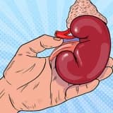 Kronik Böbrek yetmezliği Nedir
