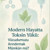 Toksin Yükü: Vücudumuzu Arındırmak Mümkün mü?