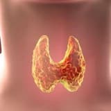 Haşimato Hastalığında Beslenme