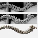 The development of thoracic vertebral sagittal morphology during childhood