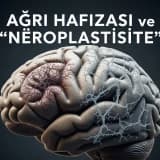 Ağrı Hafızası ve Nöroplastisite
