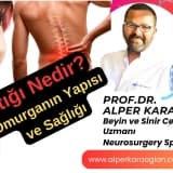 BEL FITIĞI Nedir? Nasıl Anlaşılır? Omurgamızın Yapısı ve Sağlığı