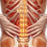 Bel Fıtığı Fizik Tedavi İle Geçer Mi?