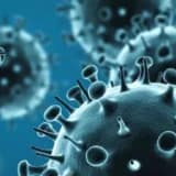 Kış Mevsiminin Korkulu Rüyası İnfluenza Salgınları