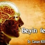 Serebral palsi beyin felci