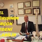 Bel fıtığı nedir? nedenleri ve türleri nelerdir?