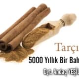 Tarçın : 5000 yıllık bir baharat