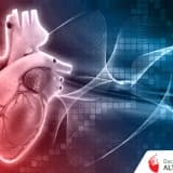 Kalp Krizi Nedir? Kalp Krizi Nasıl Gelişir?