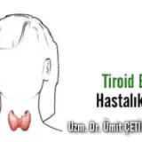 Tiroid bezi nerede bulunur ve görevleri nelerdir?