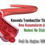 Kanımda Trombositler Yüksek Ama Kanamalarım da var. Nedeni Ne Olabilir?