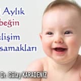 6-8 aylık bebeğin gelişim basamakları