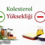 Kolesterol Yüksekliği