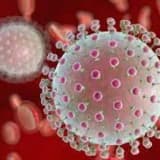 zika virüsü