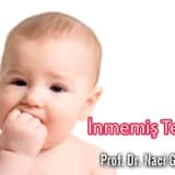 İnmemiş Testis