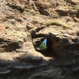 Bipolar Bozukluk (İşlevsellik ve Duygu Düzenleme Üzerine Bir İnceleme)