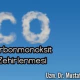 Karbonmonoksit Zehirlenmesi