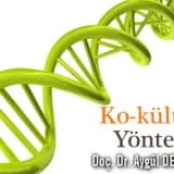 Ko-kültür Yöntemi